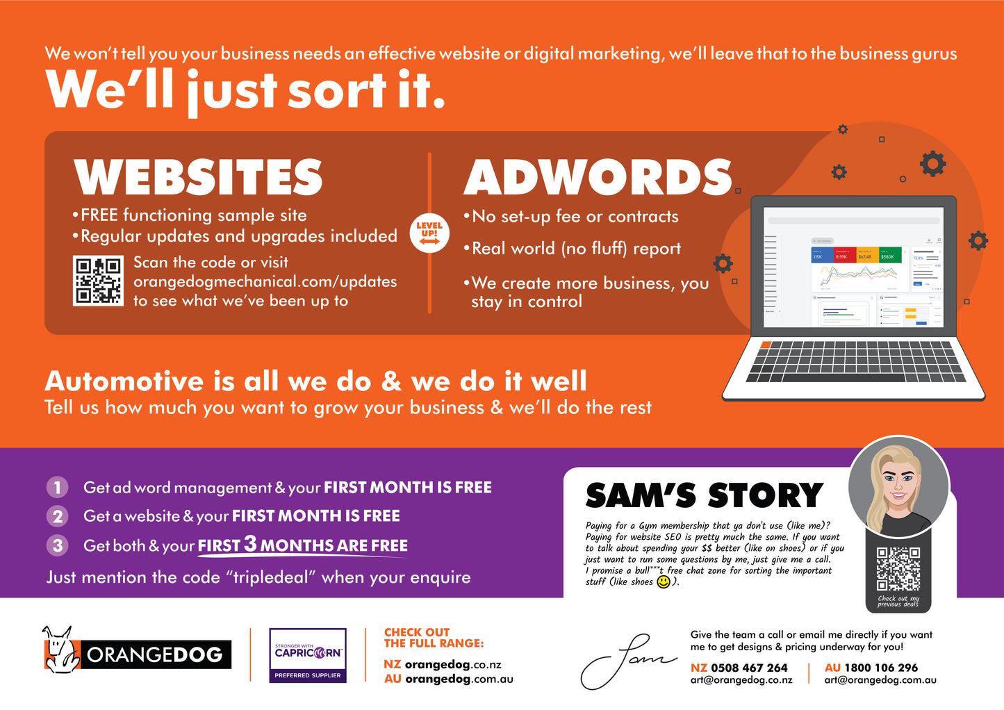 Websites + Adwords