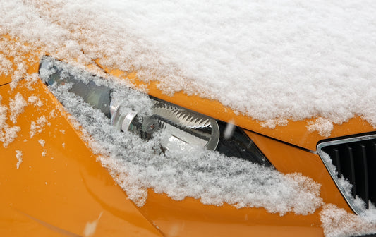 Winter Check Up
